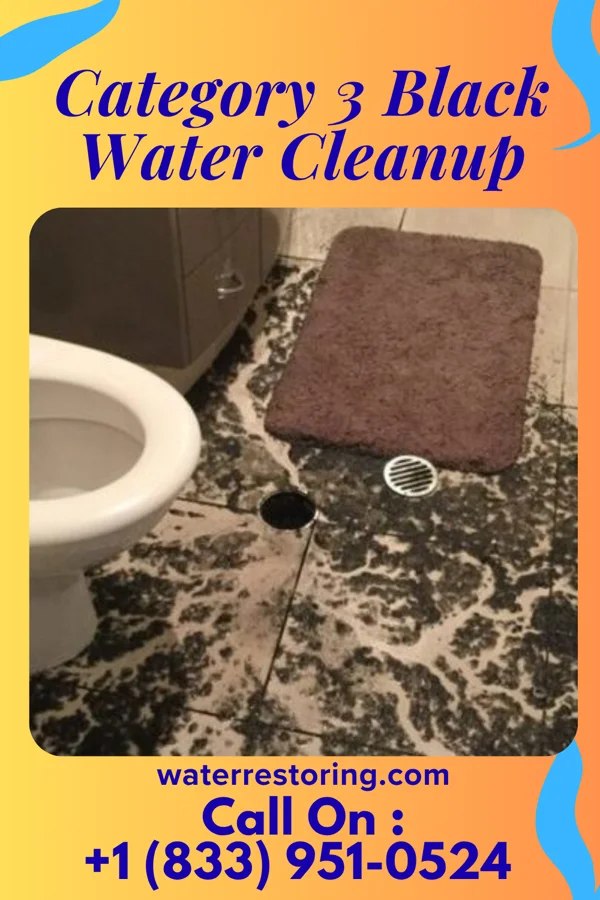 Category 3 Black Water Cleanup in Quitman, TX