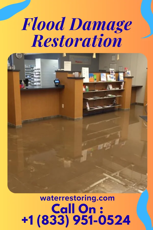 Flood Damage Restoration in Quitman, TX